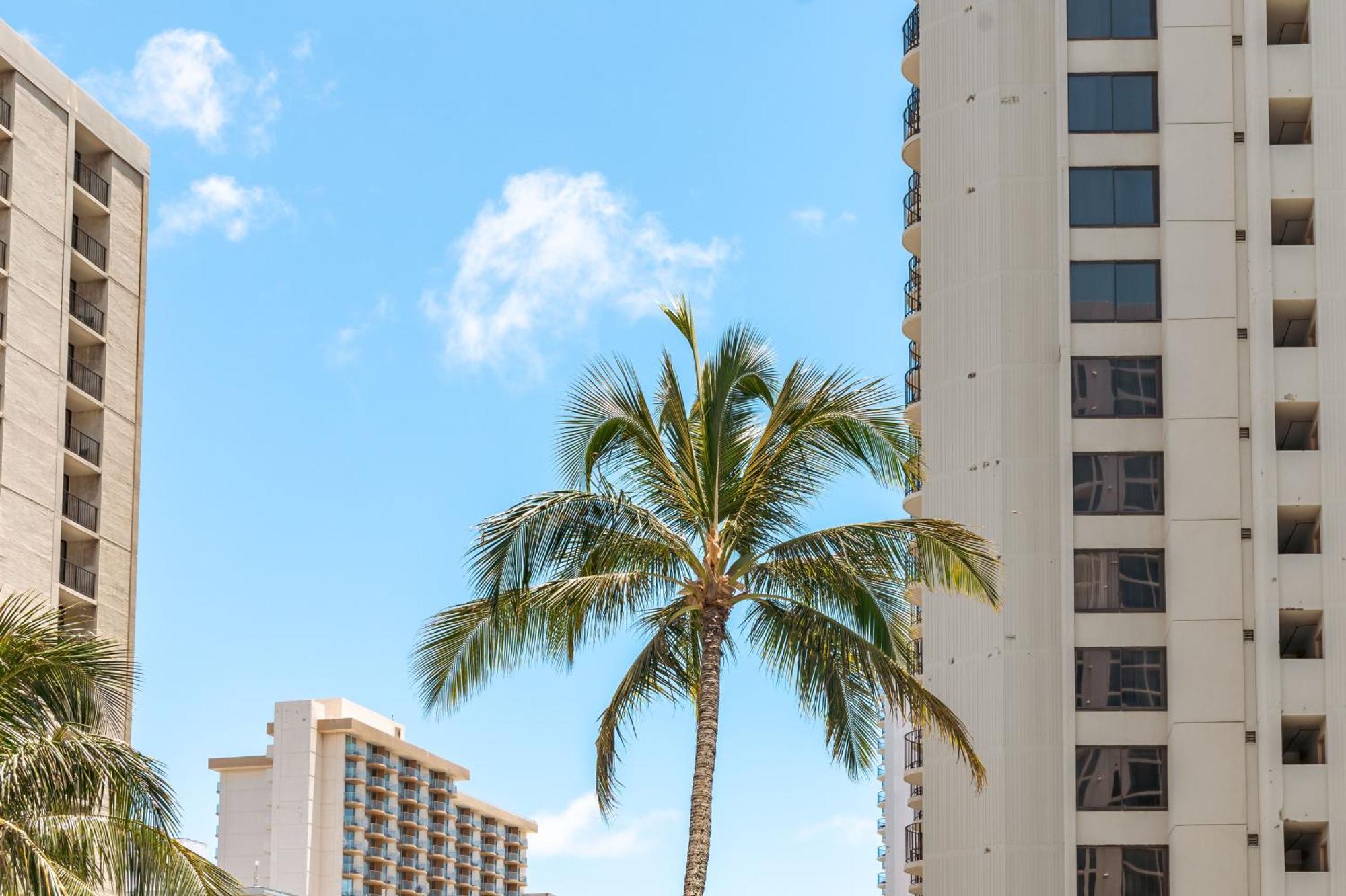 Beautiful 1Br, Steps To Waikiki Beach And Parking Honolulu Exterior foto